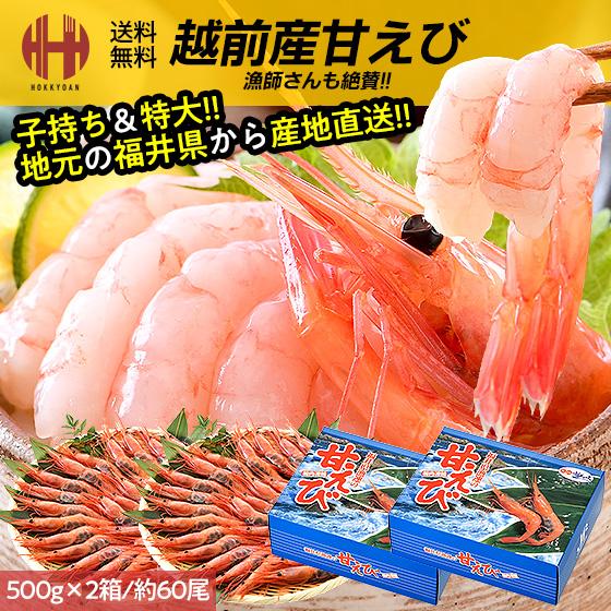 甘エビ 甘えび 特大 子持ち 刺身 1kg 500g×2箱 約60尾 冷凍 越前甘エビ 福井県 お歳暮 ギフト