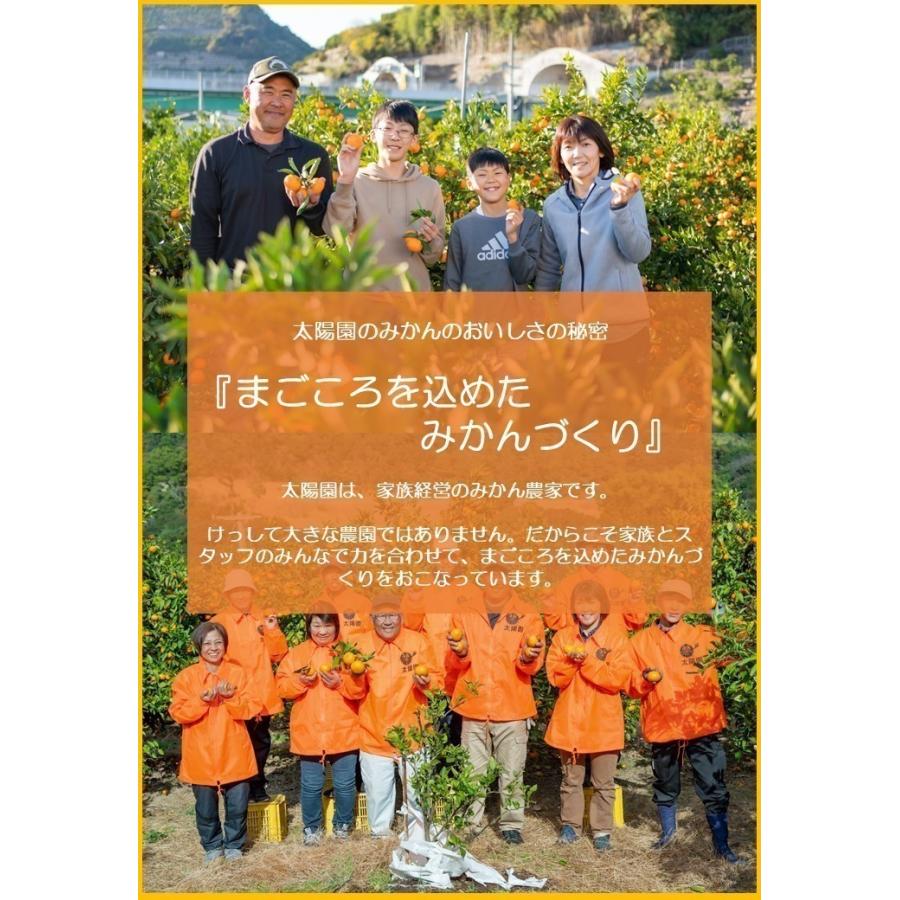 太陽みかん（有田みかん）サイズ：L（赤秀）　内容量：10kg