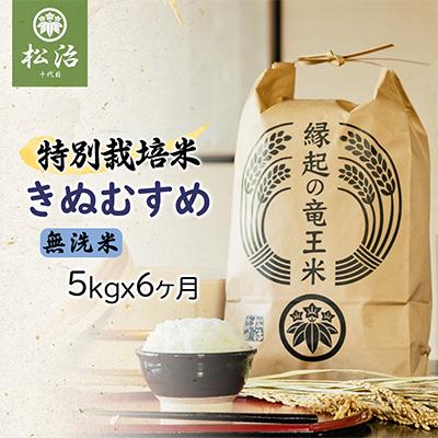 ふるさと納税 竜王町 特別栽培米きぬむすめ 無洗米5kg×6ヶ月 縁起の竜王米全6回