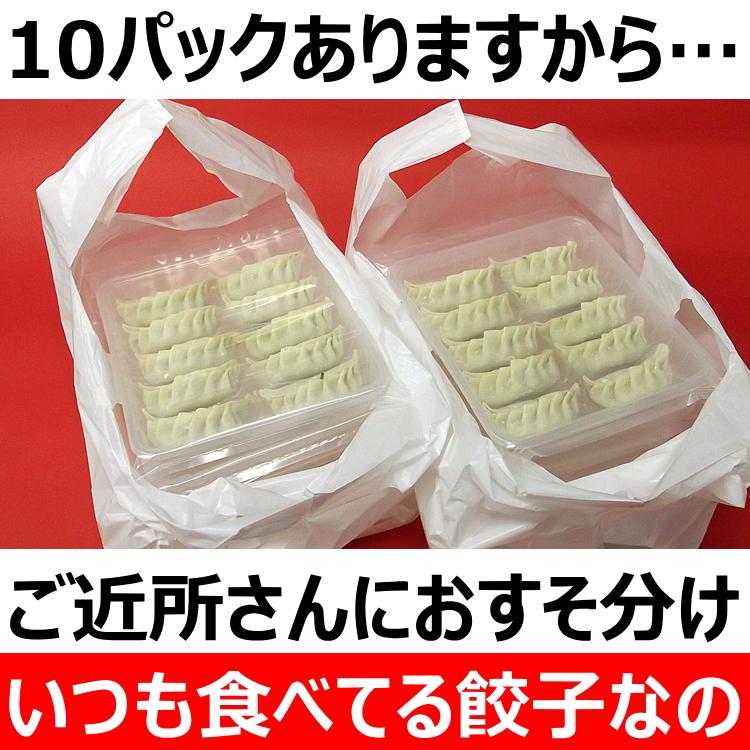 餃子 ギョーザ 10パック 取り寄せ 手づくり 冷凍 点心 中華