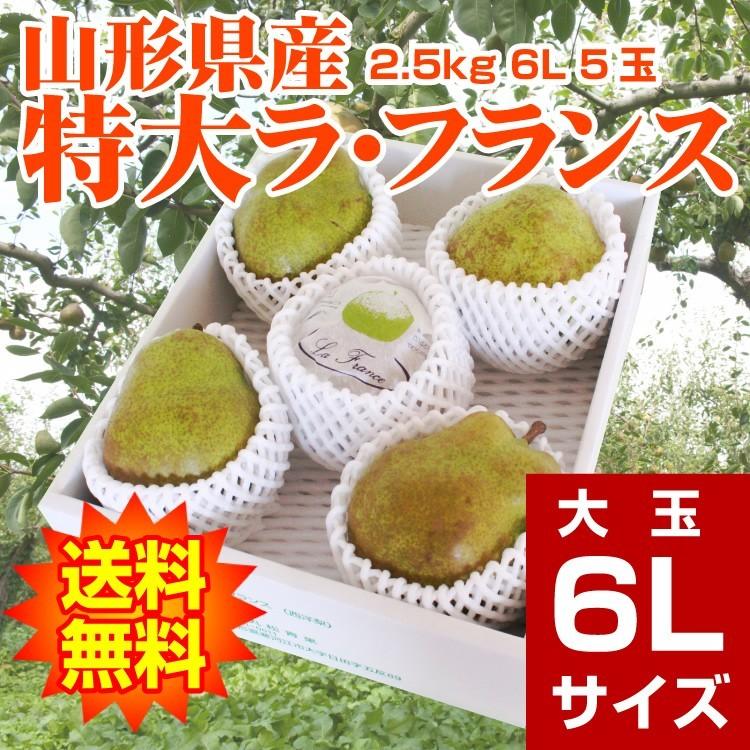 ギフト ラ・フランス 送料無料 洋梨 山形県産 2.5kg（5玉入） 特大 6Lサイズ ラフランス