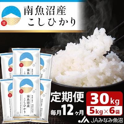 ふるさと納税 南魚沼市 南魚沼産こしひかり 精米 30kg(5kg×6袋) 全12回