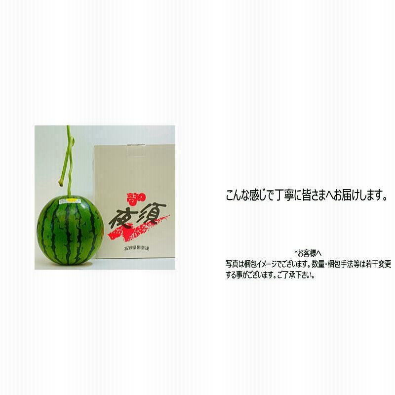 最低価格の最低価格の高知県産スイカ大玉、即購入OK 果物