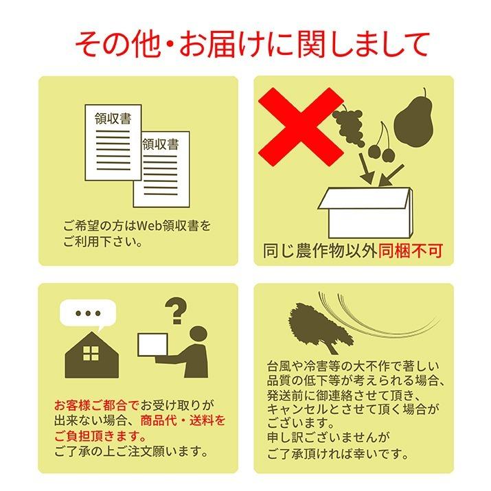 さくらんぼ 佐藤錦 Ｌ 2L玉 1kg（500g×2） 山形 秀品 サクランボ 取り寄せ 送料無料 贈答用 ギフト