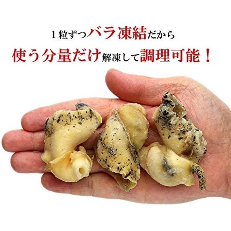 甲羅組 ボイル つぶ貝 1kg