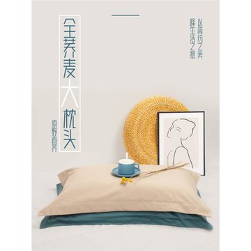 蕎麥枕頭全蕎麥殼枕頭舒睡枕芯高度可調單人大人家用大號48*74cm