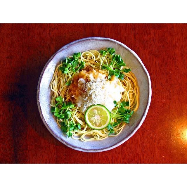 冷やし中華　お取り寄せ　さっぱり冷し中華レモン味＆かぼす味人気コンビセット　 半生麺：4人前＋熟成乾燥麺1食おまけ付き 冷麺