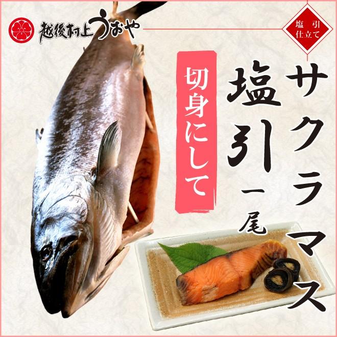 サクラマス (本鱒) 塩引 一尾 生時2.2kg 切身にして