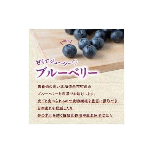 ふるさと納税 北海道 余市町 冷凍ブルーベリー 250g×4パック 北海道産　甘くてジューシー 余市産 ブルーベリー 250g × 4パック 合計 1kg 冷凍 …