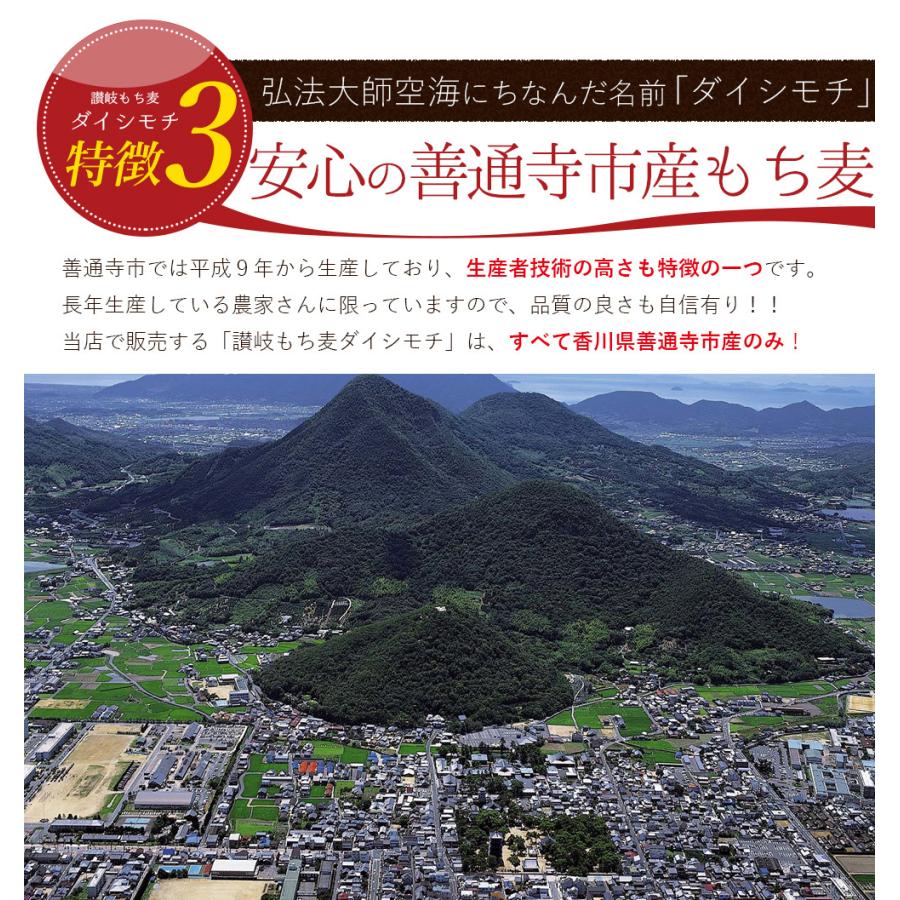 讃岐もち麦 ダイシモチ 500g 裸麦 香川県産 国産 メール便