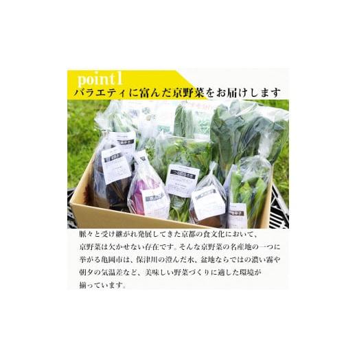 ふるさと納税 京都府 亀岡市 旬の京野菜 毎月お届けレギュラーコース（全12回）＆『葉酸たまご』6個入り×1パック×3回分付 ※沖縄・離島・諸島…