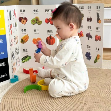 隔日達🤍免運 早教認知卡 立式屏風 折疊雙面兒童啟蒙看圖卡 動物認識卡 益智識字玩具 收涎禮物