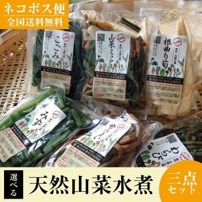 天然山菜 ミズ水煮 100g 秋田県産 鈴木青果問屋 横手 ウワバミソウ