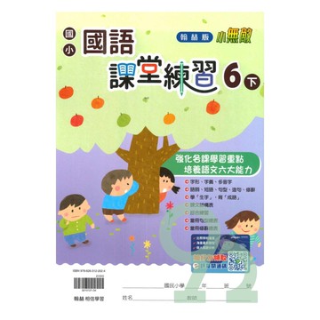 翰林國小課堂練習國語6下