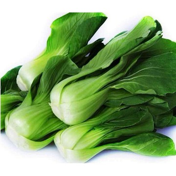 【拈花微笑】青江菜｜種子｜15g｜非基因改造種子｜蔬菜｜蔬果｜有機無毒｜高發芽率