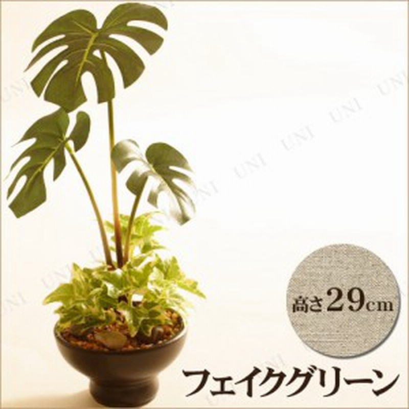 人工観葉植物 29cm フィロデンドロンb 観葉植物 小さい フェイクグリーン ミニ ミニサイズ ミニ観葉植物 インテリアグリーン 通販 Lineポイント最大1 0 Get Lineショッピング