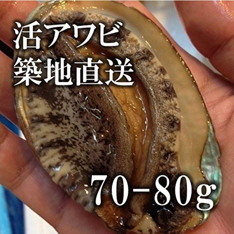 高級活アワビ 70-80g 5個 海鮮 バーベキュー 韓国産 中サイズ 築地直送