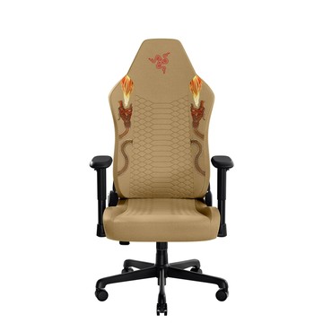 RAZER Iskur V2 X 電競椅《CS2 聯名版》《不含安裝》