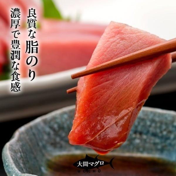 まぐろ大間産 天然本マグロ 中トロ [200g×3柵] 大間のまぐろ 一本釣り 生まぐろ 刺身用 大間港直送［お歳暮 ギフト プレゼント］