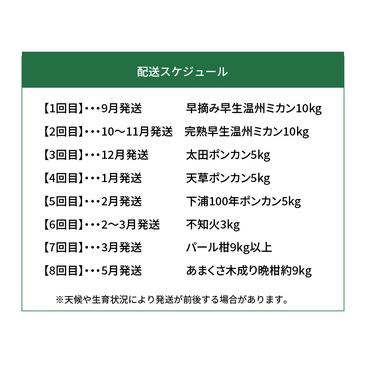 ふるさと納税 S040-019_天草 下浦地区の農家が愛情込めて育てた柑橘8種食べ尽しコース〈先行予約〉 熊本県天草市