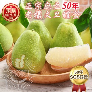 王家 SGS認證麻豆50年老欉柚子文旦禮盒5台斤*2箱