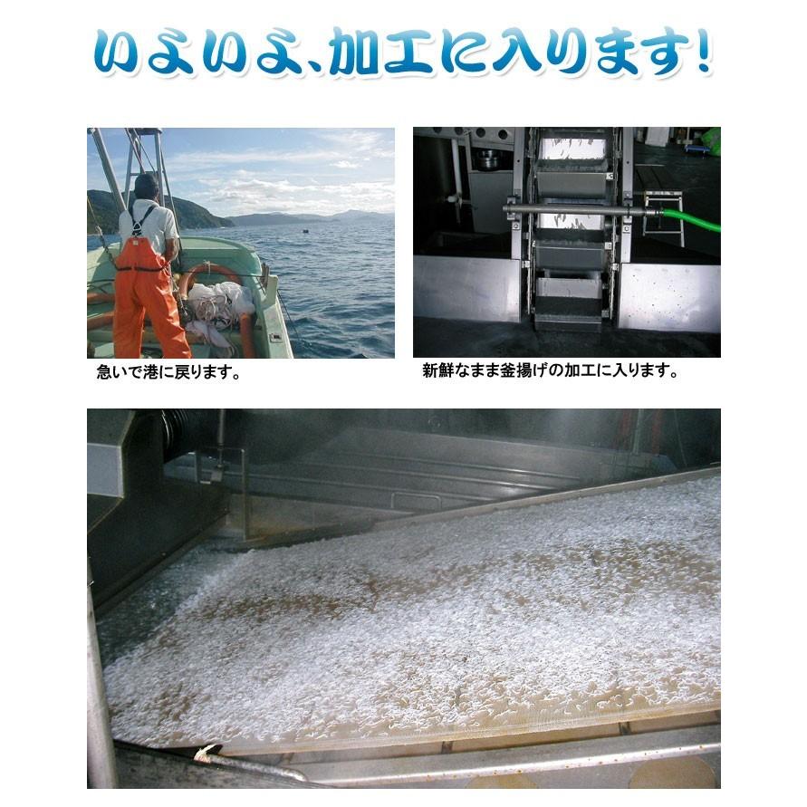 釜揚げしらす 4kg (250g×16p） 冷蔵便 愛媛 佐田岬産 浜から直送 無添加・無着色 送料無料  浜から直送 北海道・沖縄・東北は別途送料