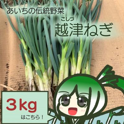 ふるさと納税 江南市 越津ねぎ　3kg