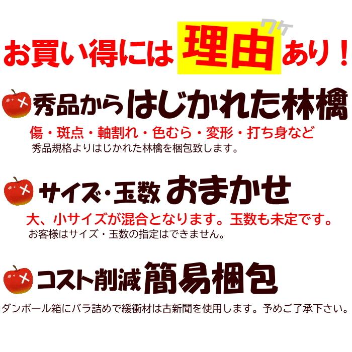 サンふじ　約3kg前後　バラ詰め　※玉数未定、サイズ混合、キズ、多少の痛みあり、林檎、りんご、リンゴ、ふじ、フジ