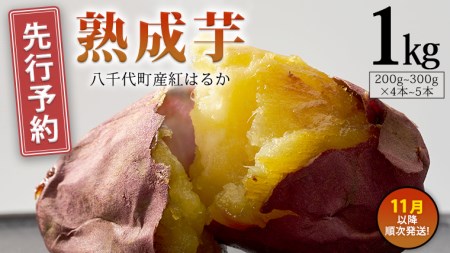 oimo_tokyo 熟成 焼き芋 八千代町産 紅はるか 1kg 4本 ～ 5本 冷蔵 冷やし やきいも 食物繊維 さつまいも 美容 健康 スイーツ おやつ 小分け 茨城県産 [BY001ya]