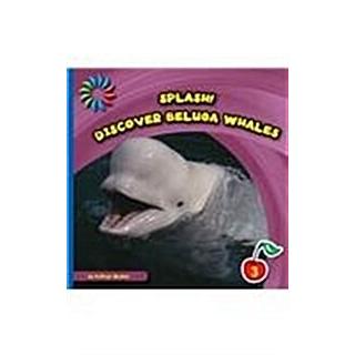 Discover Beluga Whales (Library Binding)