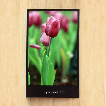 手工限量明信片-鬱金香/台灣小物攝影