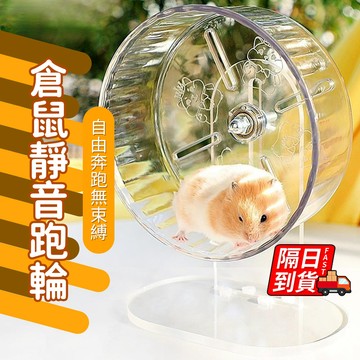 倉鼠靜音跑輪 靜音跑輪 倉鼠用品 全透明靜音 倉鼠跑輪 倉鼠玩具 小動物滾輪 倉鼠滾輪 防甩防滑 老鼠滾輪 QJ2818
