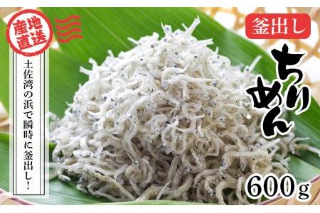 釜出しちりめん（しらす）約600ｇ（約300ｇ×2袋）鮮度日本一を目指します！浜で瞬時に釜出し