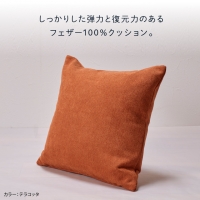 blocco フェザー100％ クッション（65cm×65cm）35