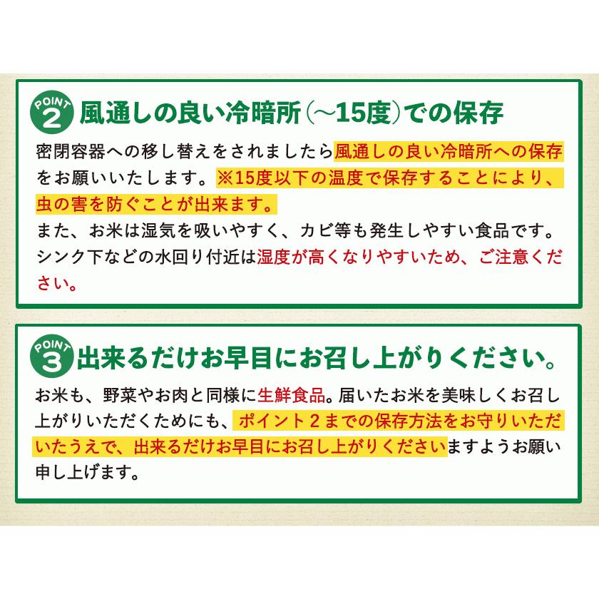 令和4年産 ひのひかり 10kg (5kg ×2袋)  米10kg 米 10kg お米 送料無料 熊本県産  精米 白米《1-5営業日以内に発送予定(土日祝日除く)》