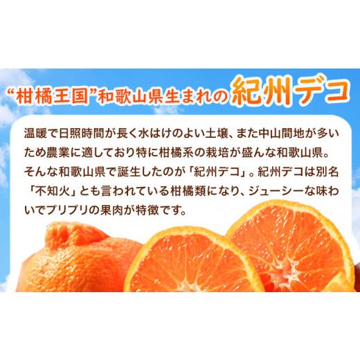 ふるさと納税 和歌山県 日高町 果肉プリプリ 完熟 紀州 デコ 不知火 約 5kg 果肉 デコ 魚鶴商店《2月下旬-3月末頃よりに発送予定(土日祝除く)》紀州デコ …