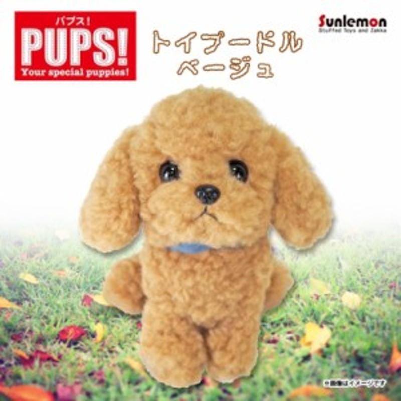 ぬいぐるみ 犬 パプス トイプードル ベージュ P 5922 Pups Sサイズ お座り ねそべり 首輪付き サンレモン 通販 Lineポイント最大1 0 Get Lineショッピング