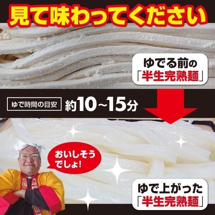 20時間熟成  半生 並麺 讃岐うどん つゆ付きセット 便利な個包装 750g 送料無料 最安値挑戦 得トクセール 特産品