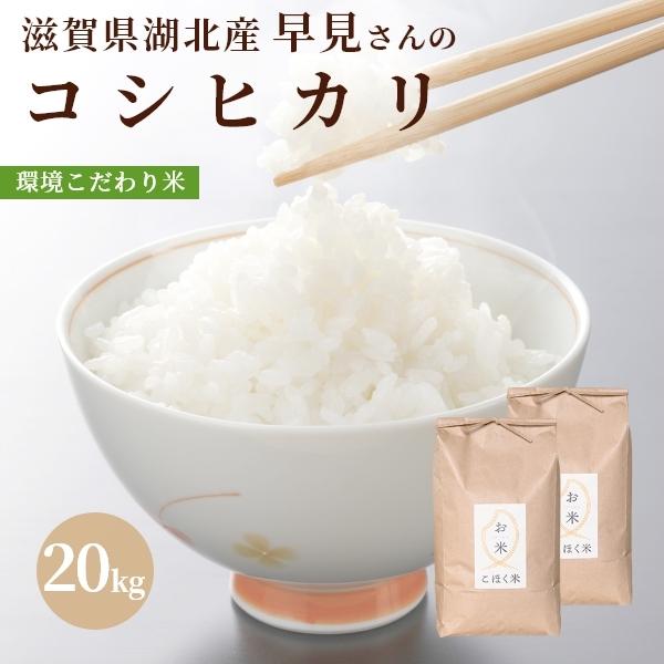 令和５年 滋賀県湖北産 早見さんのコシヒカリ 20kg 