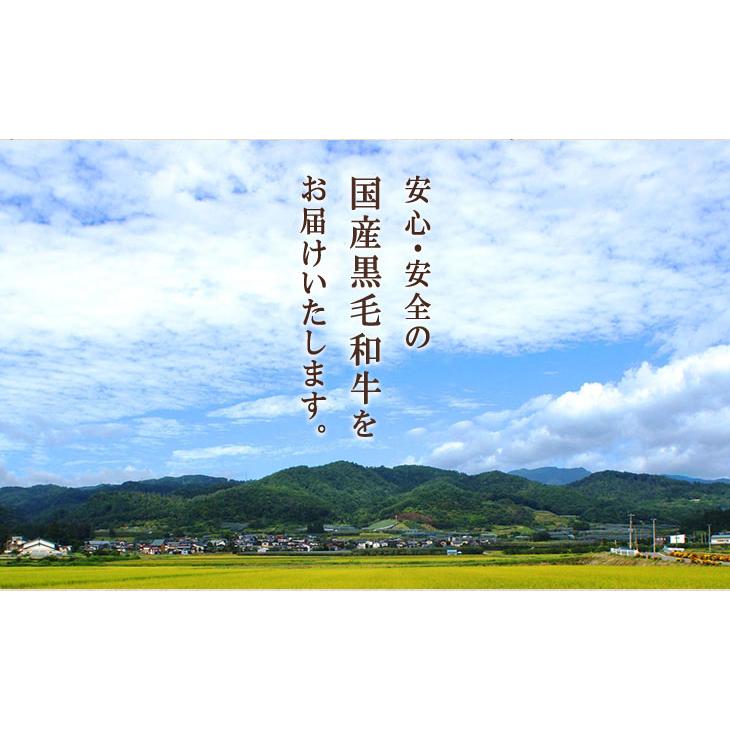 国産黒毛和牛 ステーキ ヒレ 100g×4枚 400g 2〜4人前 A5 A4 ギフト 肉 牛肉 和牛 国産 ヒレ肉 食べ物 グルメ 出産祝い 結婚祝い 還暦祝い