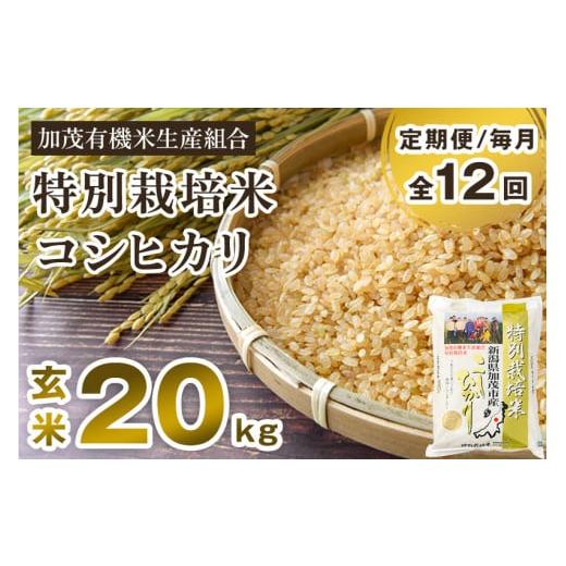 ふるさと納税 新潟県 加茂市 新潟県加茂市産 特別栽培米コシヒカリ 玄米20kg（5kg×4）従来品種コシヒカリ 加茂有機米生産組合