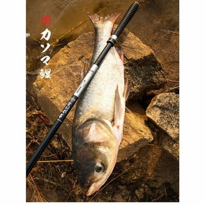 アウトドア 湖 川 釣りざお 釣竿 初心者でも使える釣り竿 コンパクト 釣具 海 竿 波止場 釣り竿 ロッド 釣り つりざお フィッシング 鯉竿 通販 Lineポイント最大get Lineショッピング