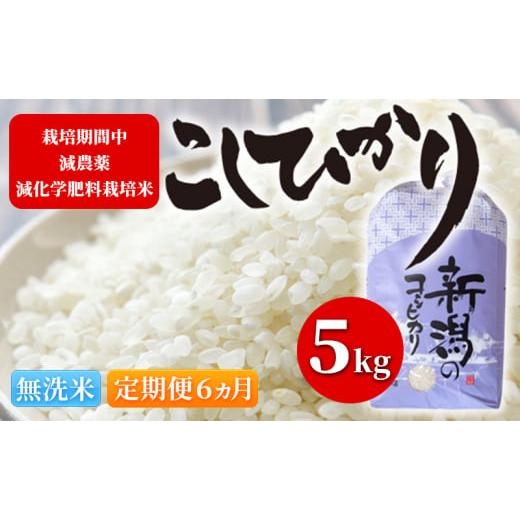 ふるさと納税 新潟県 新潟市 令和5年 栽培期間中減農薬・減化学肥料栽培米こしひかり5kg 無洗米 定期便6ヶ月