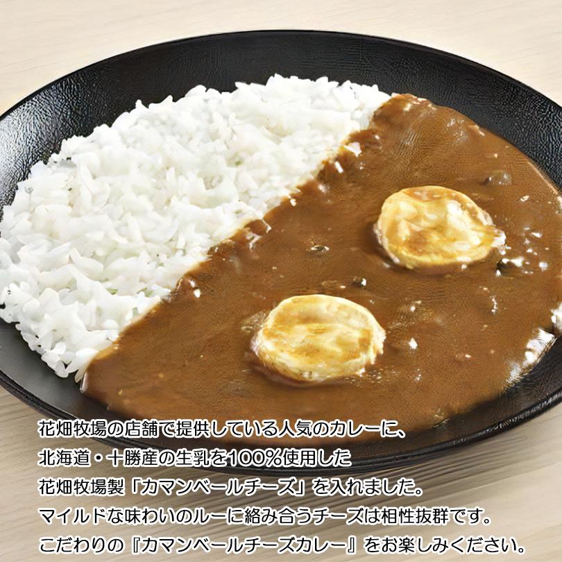 花畑牧場 カマンベールチーズカレー 1人前 北海道 お土産 インスタント レトルト カレー 簡単調理 レンチン 惣菜 ギフト プレゼント お取り寄せ