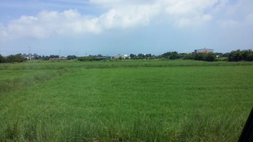 蓮花園區440坪農地｜桃園市觀音區育仁路二段