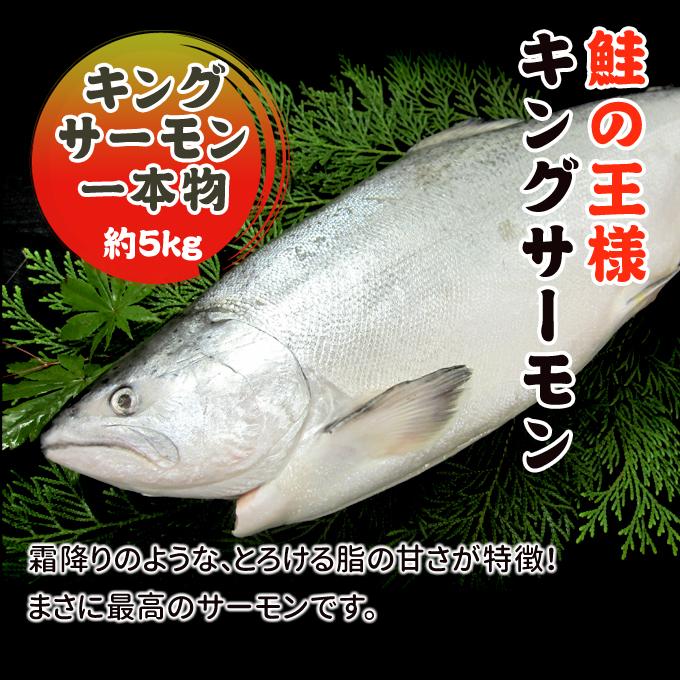 キングサーモン 豪華一本物 (頭付き) 約5kg 送料無料 お取り寄せグルメ