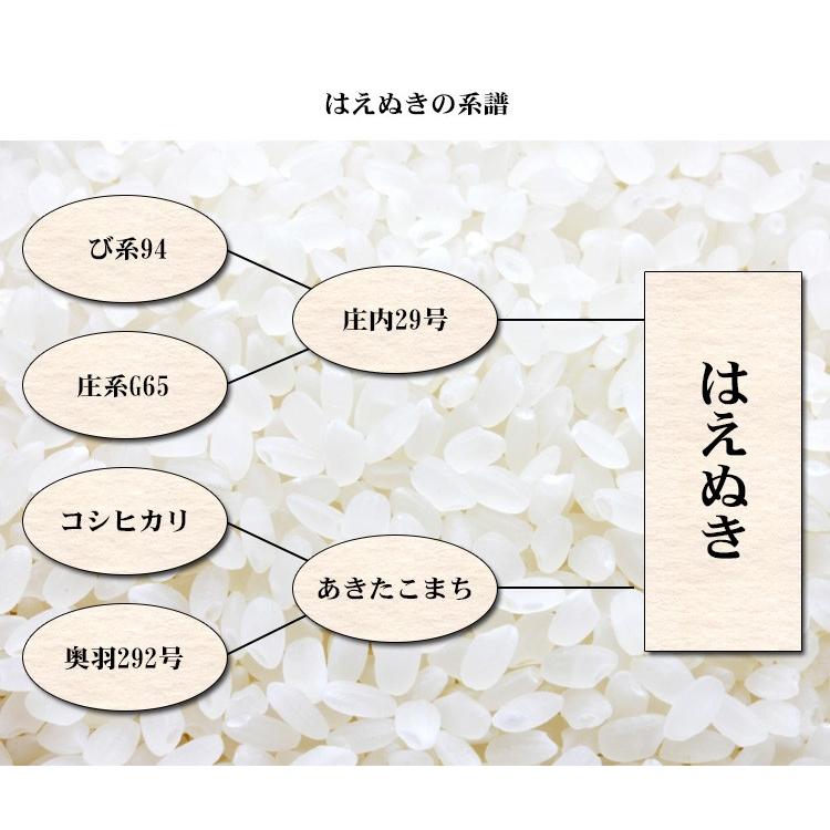 新米 お米 20kg 送料無料 白米 はえぬき 5kg×4袋 山形県産 令和5年産 お米 20キロ 食品 北海道・沖縄は追加送料 お得