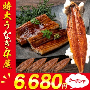 特大うなぎ蒲焼 4尾 約880g タレ付き 中国産 鰻 ウナギ かば焼き 冷凍便 送料無料 本 海鮮 土用の丑の日 スタミナ 食品 グルメ 海鮮 プレ