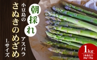 小豆島の朝採れアスパラ『さぬきのめざめ』Lサイズ1kg