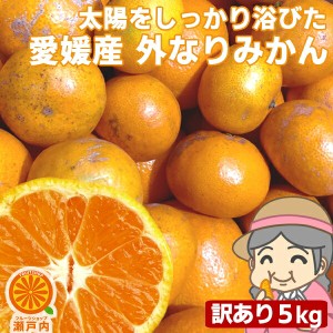 愛媛産 ご家庭用 農家さんもぐもぐ 外なり訳ありみかん 5kg( 約0.5kg多め)不揃い 傷 汚れ有 愛媛県産 フルー